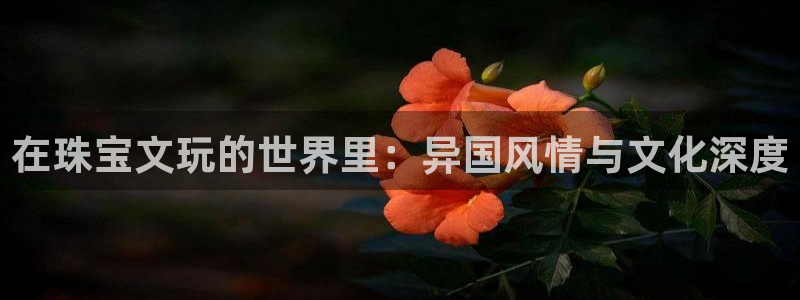 石河子天宏娱乐