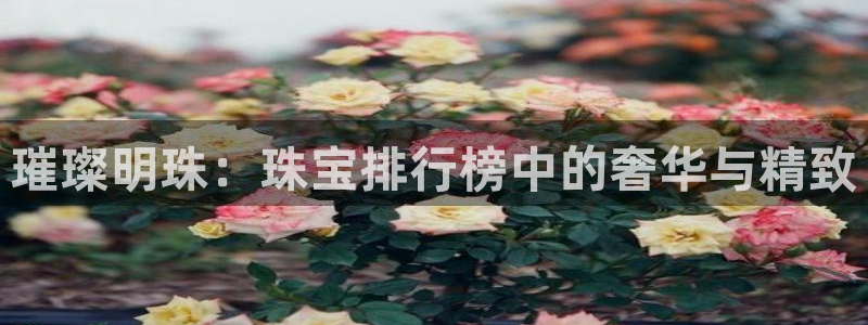 天宏娱乐会所地址
