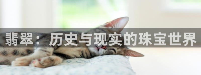 天宏娱乐季叔
