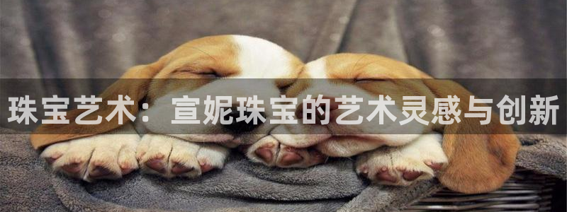 天宏娱乐传媒岳阳