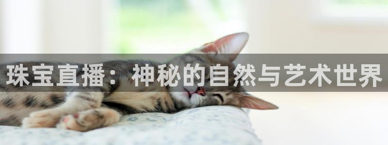 天宏娱乐平台下载