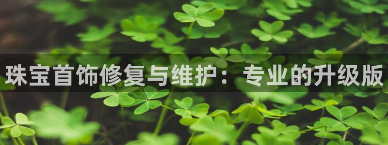 天宏娱乐22956叩c