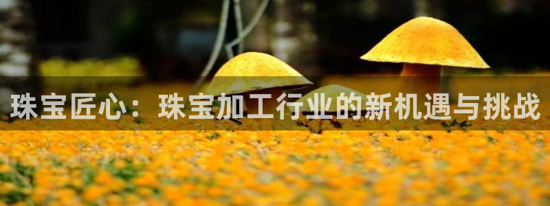 天宏娱乐 22376实e力