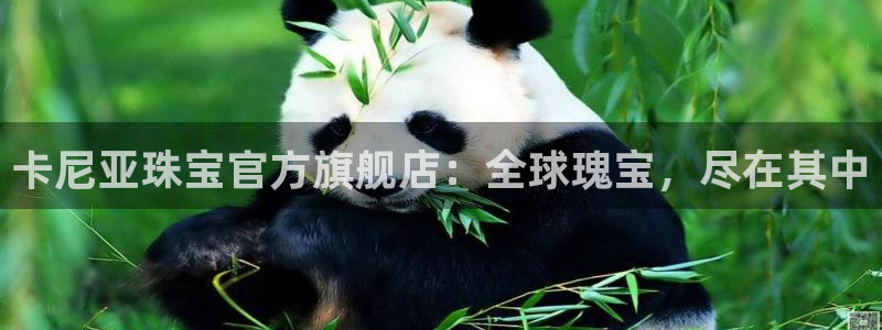 天亿娱乐宏发骗子
