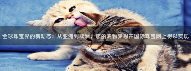 天宏娱乐 直播间