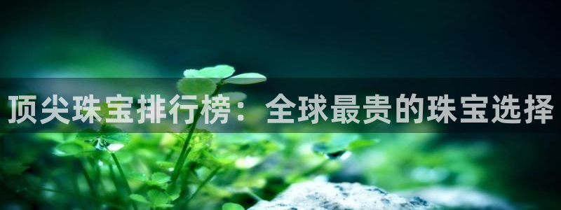 天宏娱乐石叔是谁