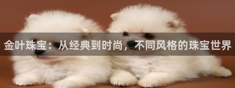 天宏娱乐 老板