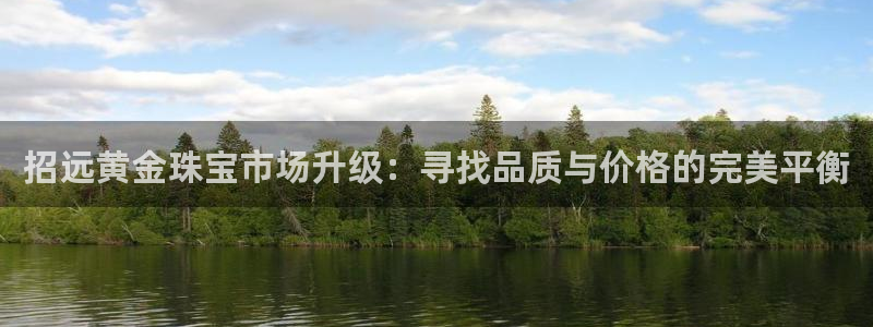 天宏娱乐h 判官