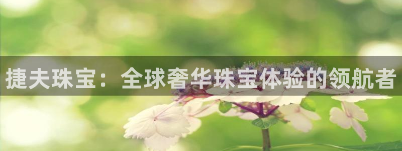 天宏娱乐有明星么
