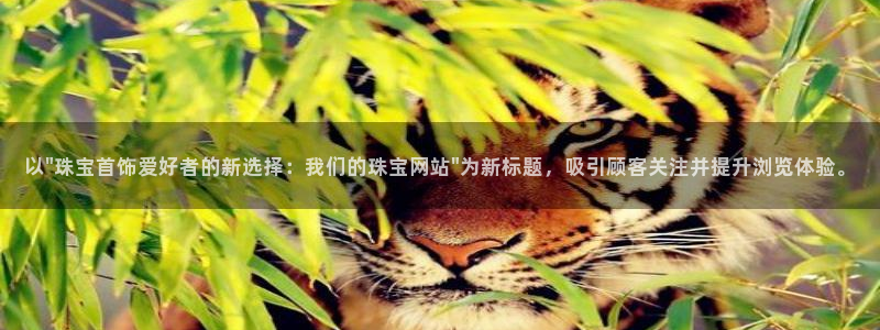 天宏娱乐登入