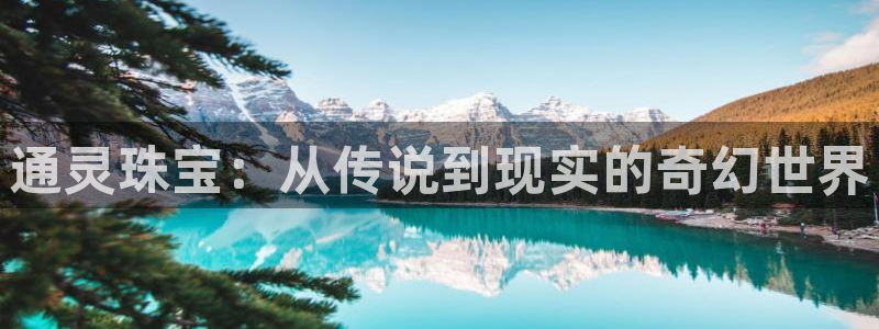 天宏娱乐d 判官
