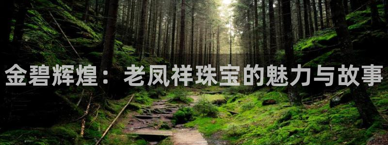 天宏娱乐韩叔抖音
