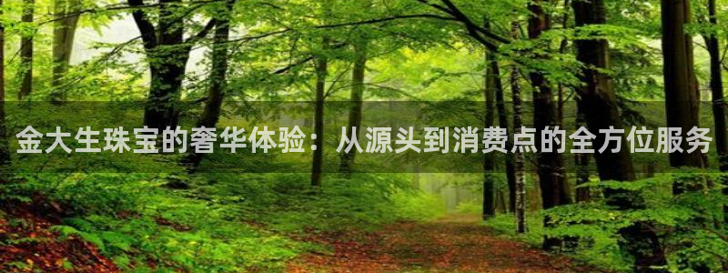 天宏娱乐石叔简介