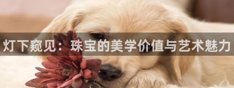 天宏娱乐青风