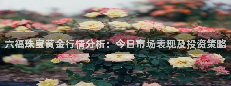 天宏娱乐注册32937：六福珠宝黄金行情分析：今日市场表现及