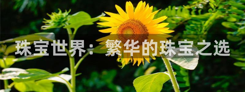 天宏娱乐平台官网：珠宝世界：繁华的珠宝之选